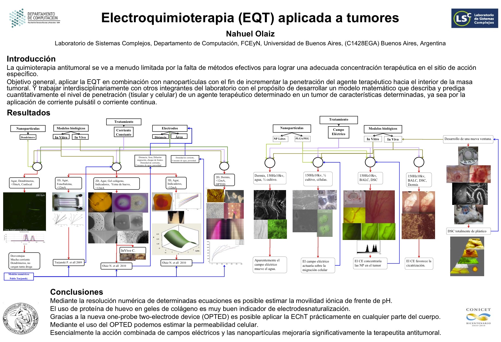 Electroquimioterapia (EQT) aplicada a tumores
